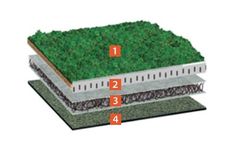 Bauder - Model EXTENSIVE - Sedum System