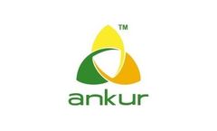 Engineering Services