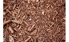 Ankur Scientific - Woody Biomass Gasifier