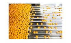 Production Line Monitoring