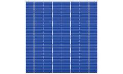 Tainergy - 4 Bus Multi-Crystalline Silicon Solar Cell