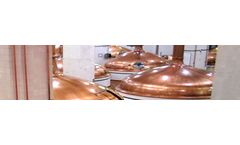 Safe and biodegradable specialty cleaning chemicals for food & beverage industry