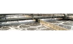 Safe and biodegradable specialty cleaning chemicals for sludge/wastewater treatment