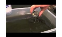 Rydlyme Biodegradable Descaler is Safe & Effective - Video