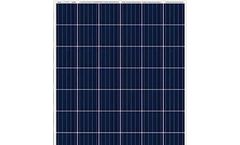 Trunsun - Model Standard Series - TSP-60 - Polycrystalline Solar Module