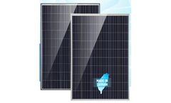 TSEC - Model V-Series - 280-295W - Polycrystalline Solar Modules