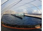 MicroBio Algae Raceway - Model RW200-RW600 - Spirulina Microfarms