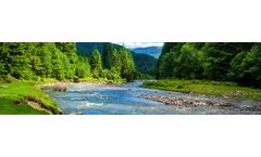 Persistent Organic Pollutants (POPS) Analysis