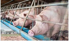 Farm Waste Management