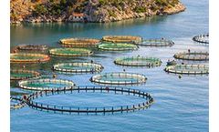 Aquaculture