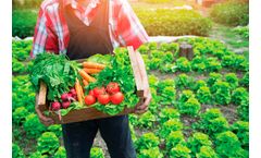 Agriculture Crop Enhancement