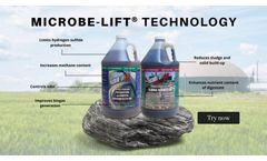 Roles of Microorganisms in Anaerobic Digestion and Biogas Production