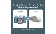 Why Liquid Bacteria Triumphs Over Dry Form in Bioaugmentation