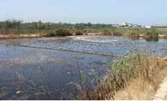 MICROBE-LIFT® Technology Cleans Up Petroleum Lagoon in Israel - WASTEWATER TREATMENT