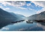 MICROBE-LIFT® - Aquaculture Solutions