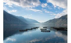 MICROBE-LIFT® - Aquaculture Solutions