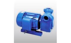 Tiger - Model WS-HC-10 - Irrigation Pump