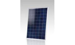 Brandoni Solare - Standard Module