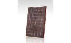 Brandoni Solare - Coloured Module