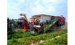 Pik Rite - Model 190 - Tomato Harvester