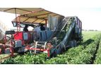 Pik Rite - Pepper Harvester