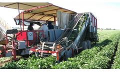 Pik Rite - Pepper Harvester