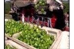 Pik Rite Pepper Harvester Video
