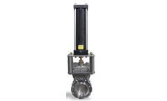 NVE - Manual Actuation Single Gate Valves