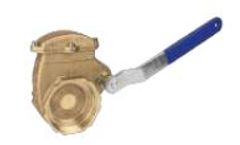 NVE - Model RIV - Lever Gate Valves