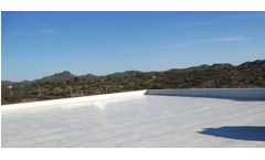Ecodur - Model 201 - Roof Coating