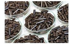 SunCoal - Biofuels
