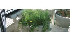 Advanced Botanical System