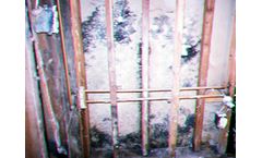 Mold Sampling Services