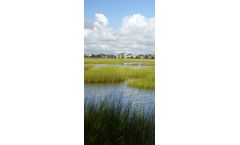 Waterways Management Services