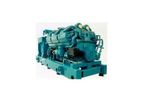 Diesel Generator Set Auditing