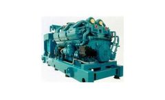 Diesel Generator Set Auditing