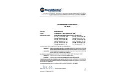 Asynchronous Motors Brochure