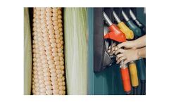 From corn to ethanol: improving the fermentation process with NIRS