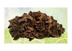 Texas Native - Pecan Mulch