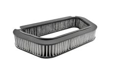 Baldwin - Model PA10124 - Cabin Air Panel Filter