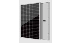 ZnshineSolar - 182 Single Glass Module