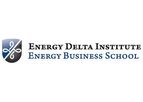 Executive Programme New Energy Realities