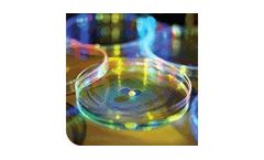 Mold Inspection & Testing Services