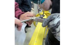 Magnet Certification Services