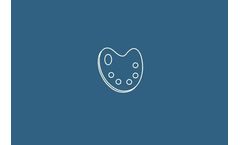 XRF Spectrometers solutions for analysis of paintings and art works sector