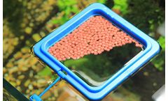 Aquatic Feed Pellet Mill for Fish Farming