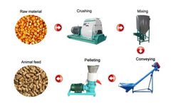 Amisy - 200-300kg/h Small Feed Pellet Line