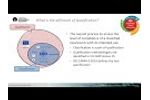 Classification - Qualification - Monitoring Per EU GMP Annex 1, Rev 12 Draft - Video