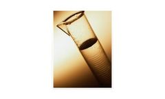 Regulatory Compliance Services
