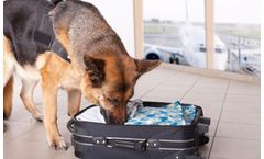 Gas Monitoring  Solutions for Border Security